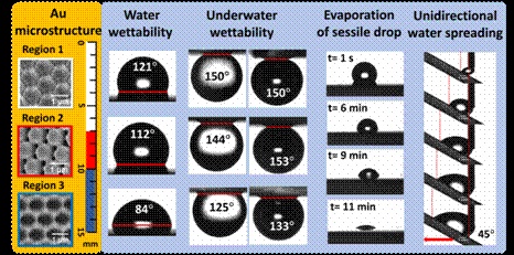 Scientists develop gold microstructure substrate with tunable wettability useful in water transportation & self-cleaning