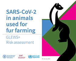 New assessment shows high risk of introduction and spread from fur farming of the virus that causes COVID-19