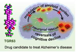 JNCASR  Scientists develop a new molecule that could be a potential drug candidate for the treatment of Alzheimer’s