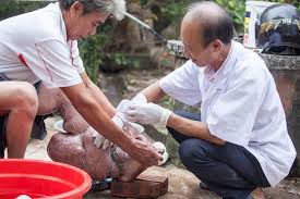 WHO publishes materials that aim to provide high-quality care to people affected by lymphatic filariasis