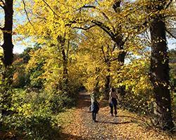 Nature and biodiversity play a vital role in protecting human health