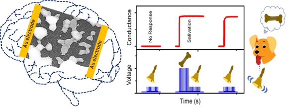 Scientists develop efficient Artificial Synaptic Network that Mimics Human Brain