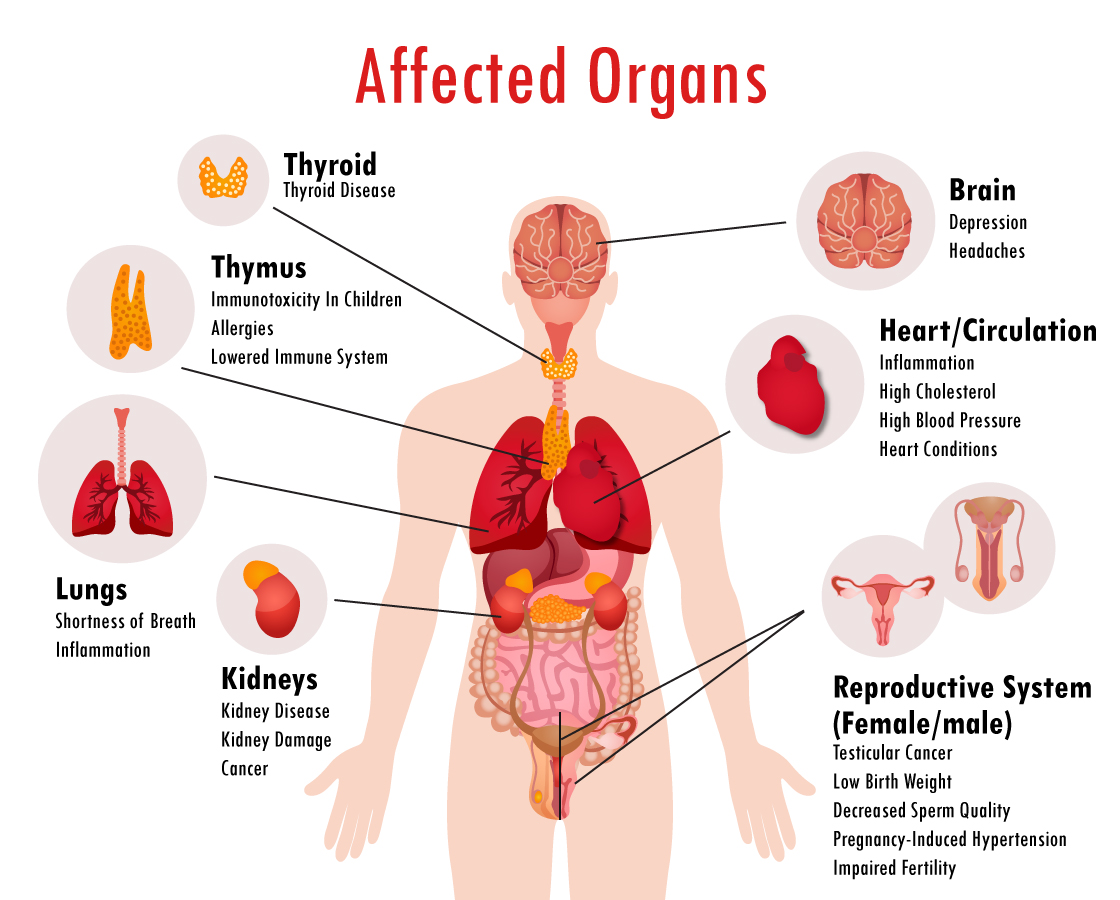 Adverse Effect of Junk/Fast Foods