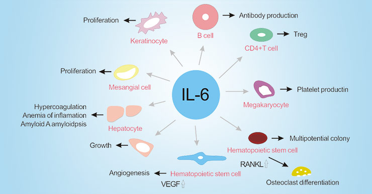 WHO recommends life-saving interleukin-6 receptor blockers for COVID-19 and urges producers to join efforts to rapidly increase access