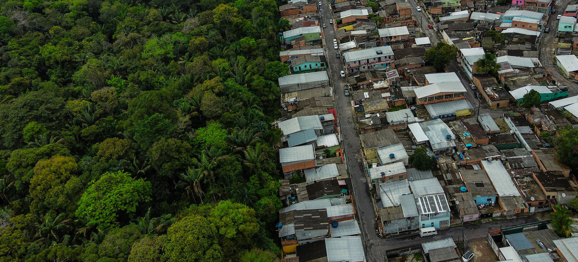 UN body unveils new plan to end ecological destruction, ‘preserve and protect nature’