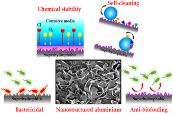 Nano-structured self-cleaning aluminium surface that reduces bacterial growth can be useful for biomedical & aerospace applications