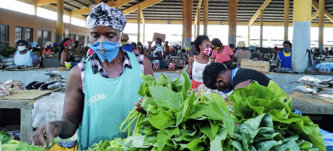 Countries urged to develop pandemic preparedness and response treaty