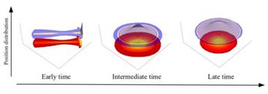 New theoretical explanation for a unique reversing motion of bacteria can help building more efficient artificial micro and nano-motors