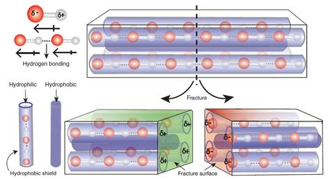 Indian scientists discover materials that self-repair mechanical damages