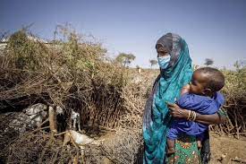 Famine relief blocked by bullets, red tape and lack of funding, warn FAO and WFP as acute food insecurity reaches new highs