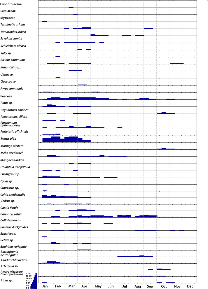 Chandigarh’s first Pollen Calendar can help identify potential allergy triggers and guard sensitive people from exposure