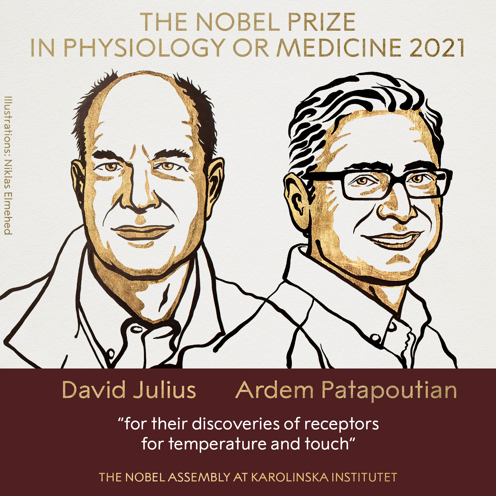 The 2021 NobelPrize in Physiology or Medicine has been awarded jointly to David Julius and Ardem Patapoutian “for their discoveries of receptors for temperature and touch.”