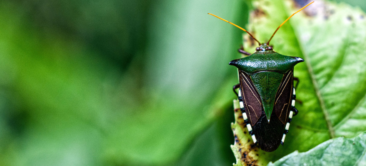 Biodiversity commitment builds hope for ‘living in harmony with nature’