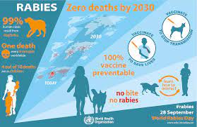 Adopt One Health, Stop Rabies: India launches new national action plan for dog mediated rabies elimination by 2030