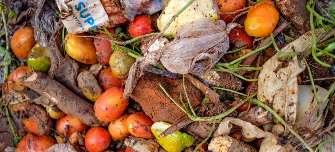 Food waste: a global problem that undermines healthy diets