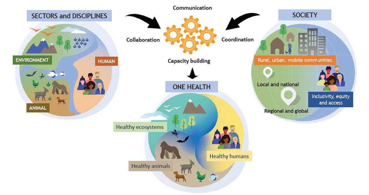 Tripartite and UNEP support OHHLEP’s definition of “One Health”