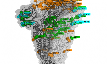 Omicron, now discovered on all six continents