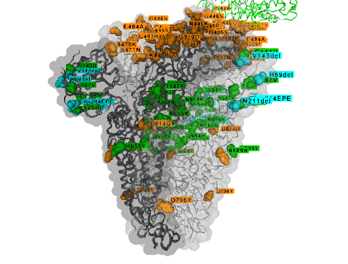 Omicron, now discovered on all six continents