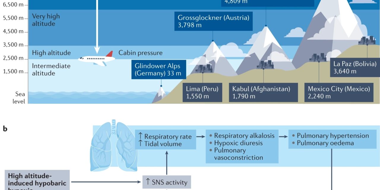 Travelling with heart failure: risk assessment and practical recommendations