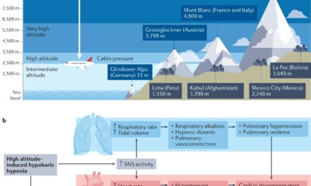 Travelling with heart failure: risk assessment and practical recommendations