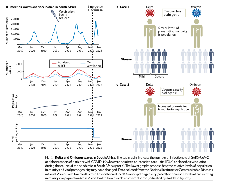 Milder disease with Omicron: is it the virus or the pre-existing immunity?