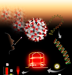 Scientists develop new technology platform to detect SARS-CoV-2 by fluorescence readout