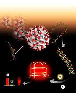 Scientists develop new technology platform to detect SARS-CoV-2 by fluorescence readout