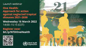 Launch – One Health: approach for action against neglected tropical diseases 2021–2030