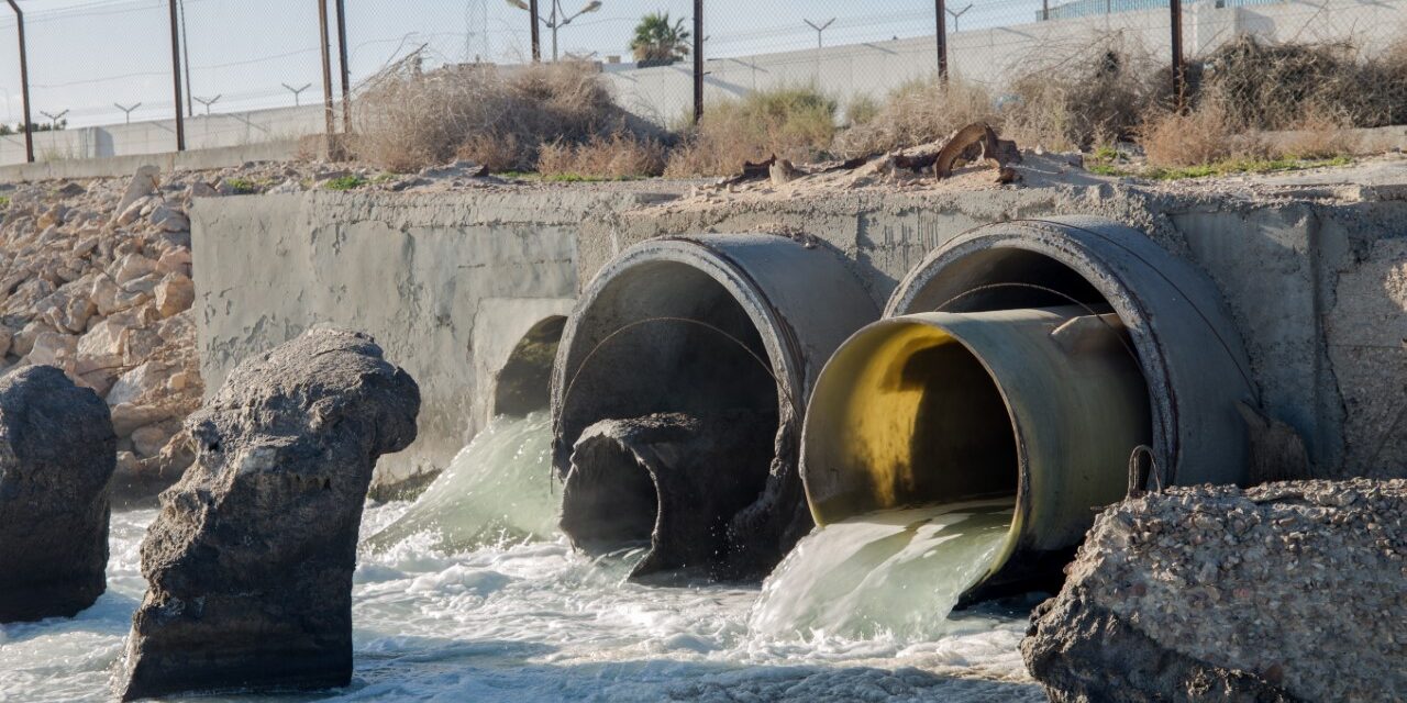 World leaders and experts call for action to protect the environment from antimicrobial pollution