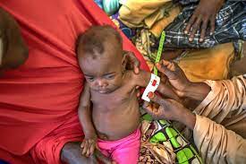 Malnutrition Free India