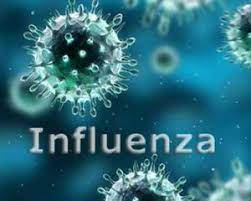 WHO releases clinical management guidelines for influenza