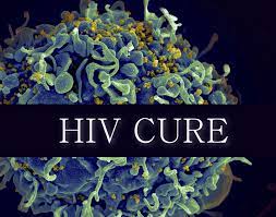 First case of HIV cure in a woman after stem cell transplantation reported at CROI-2022