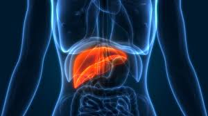 World Liver Day-19th April 22