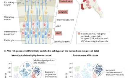 Genomics, convergent neuroscience and progress in understanding autism spectrum disorder