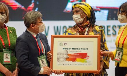 Champion of women’s right to manage land and forests wins top environment prize