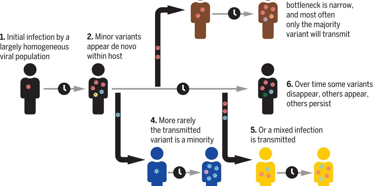 Stronger household transmission investigations for Pandemic Special Studies