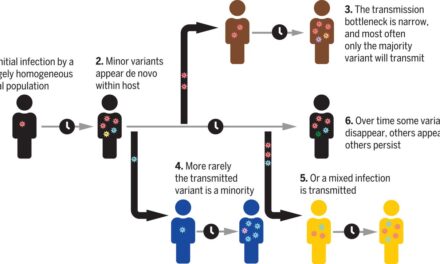 Stronger household transmission investigations for Pandemic Special Studies