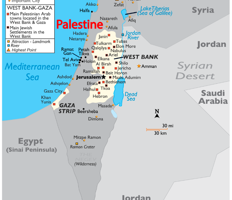 The Palestinian people: erased from World Health Statistics