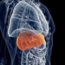 Severe acute hepatitis of unknown aetiology in children – Multi-country