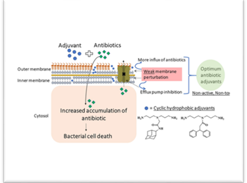 Hydrophobic ingredients, in combination with obsolete antibiotics, can counter multidrug-resistant bacteria