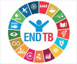 Expert(s) to conduct systematic reviews of the evidence on tuberculosis health-related risk factors