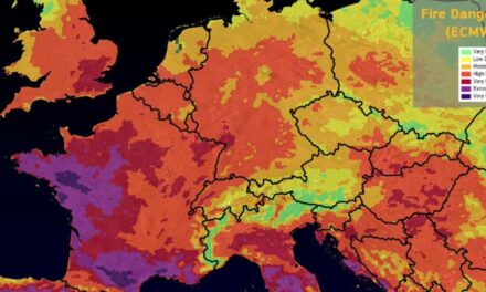 Record 40°C UK temperatures linked to climate change: WMO