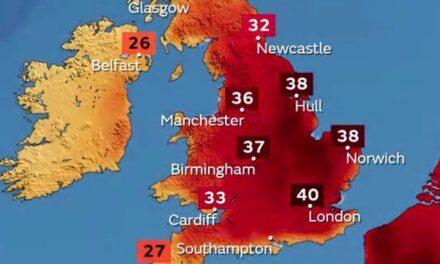 WMO warns of frequent heatwaves in decades ahead