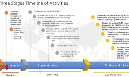 WHO updates its widely-used gender mainstreaming manual