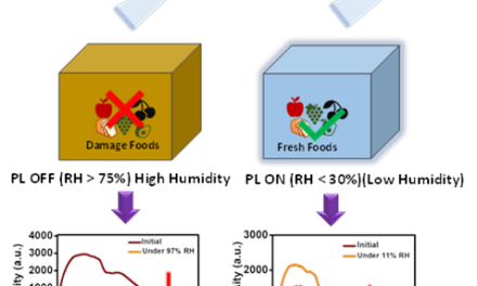 Biodegradable biopolymer nanocomposite that detects relative humidity can monitor packed food freshness