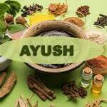 Cultivating Wellness: India Expands National Push for Sustainable Medicinal Plants to Secure Supply Chains and Boost Rural Economies