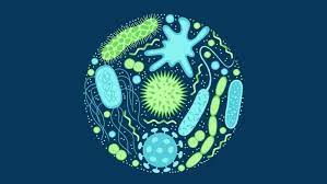 World Antimicrobial Awareness Week (WAAW) will now be World AMR Awareness Week