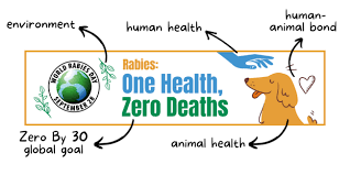 World Rabies Day 2022