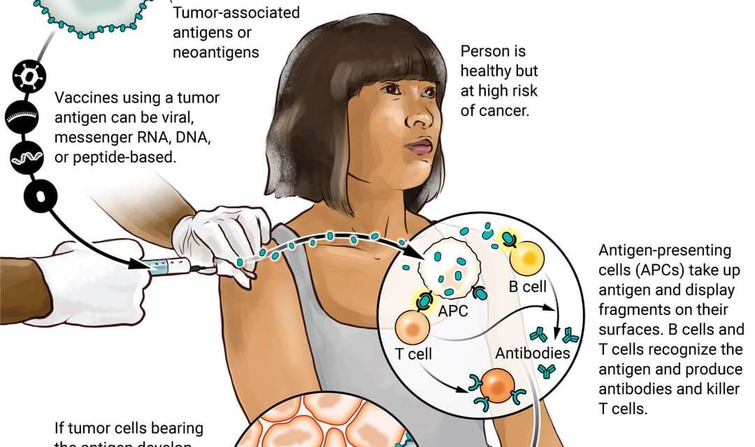 A new generation of cancer-preventing vaccines could wipe out tumors before they form