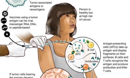 A new generation of cancer-preventing vaccines could wipe out tumors before they form